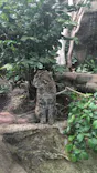 神戸どうぶつ王国に投稿された画像（2026/5/12）