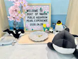 名古屋港水族館に投稿された画像（2026/5/12）