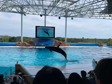 アドベンチャーワールドに投稿された画像（2026/5/12）