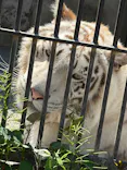 宇都宮動物園に投稿された画像（2026/5/12）