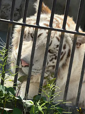 宇都宮動物園に投稿された画像（2026/5/12）