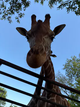 宇都宮動物園に投稿された画像（2026/5/12）