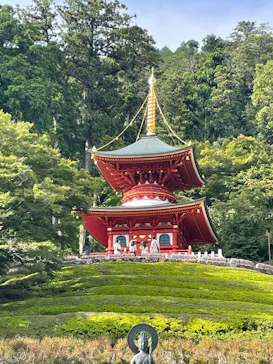 勝尾寺に投稿された画像（2026/5/12）