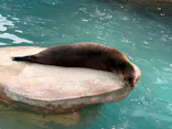 名古屋市東山動植物園に投稿された画像（2026/5/12）