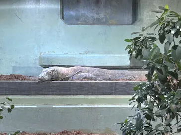 名古屋市東山動植物園に投稿された画像（2026/5/12）