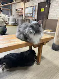 神戸どうぶつ王国に投稿された画像（2026/5/13）