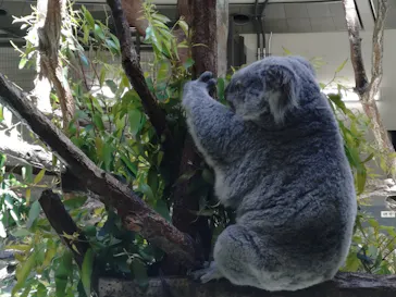 多摩動物公園に投稿された画像（2026/5/12）