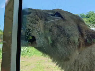 多摩動物公園に投稿された画像（2026/5/12）