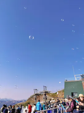 星野リゾート　トマムに投稿された画像（2026/5/12）
