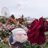 ひらかたパークに投稿された画像（2026/5/13）