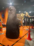 特別展「超危険生物展　科学で挑む生き物の本気」に投稿された画像（2026/5/13）