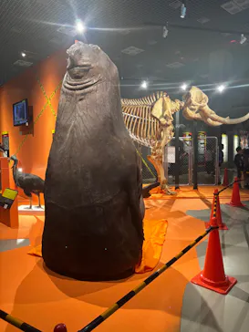特別展「超危険生物展　科学で挑む生き物の本気」に投稿された画像（2026/5/12）
