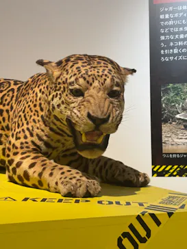特別展「超危険生物展　科学で挑む生き物の本気」に投稿された画像（2026/5/12）