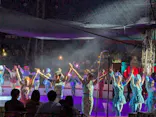 木下大サーカス磐田公演に投稿された画像（2026/5/13）