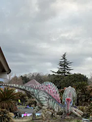 伊豆ぐらんぱる公園に投稿された画像（2026/5/13）