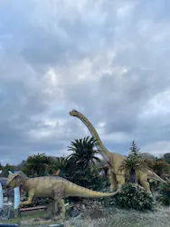 伊豆ぐらんぱる公園に投稿された画像（2026/5/13）