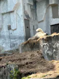 名古屋市東山動植物園に投稿された画像（2026/5/13）