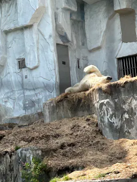 名古屋市東山動植物園に投稿された画像（2026/5/13）