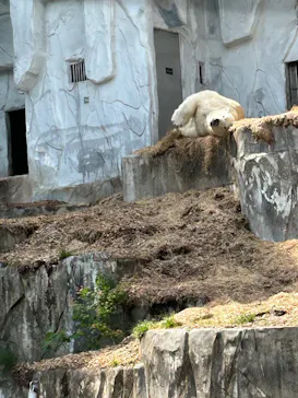 名古屋市東山動植物園に投稿された画像（2026/5/13）