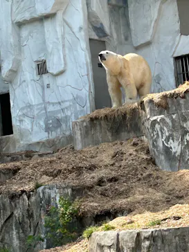 名古屋市東山動植物園に投稿された画像（2026/5/13）
