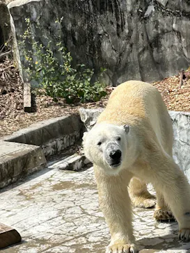 名古屋市東山動植物園に投稿された画像（2026/5/13）