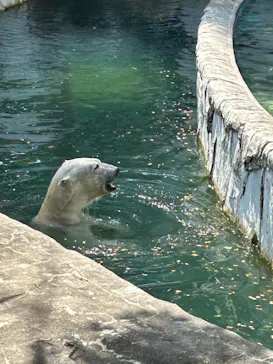 名古屋市東山動植物園に投稿された画像（2026/5/13）