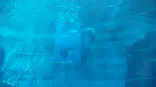 名古屋港水族館に投稿された画像（2026/5/13）