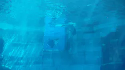 名古屋港水族館に投稿された画像（2026/5/13）