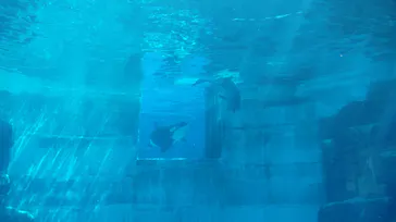名古屋港水族館に投稿された画像（2026/5/13）