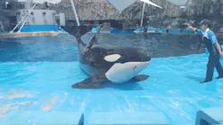 名古屋港水族館に投稿された画像（2026/5/13）
