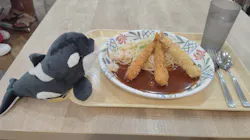 名古屋港水族館に投稿された画像（2026/5/13）