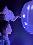 すみだ水族館に投稿された画像（2026/5/13）