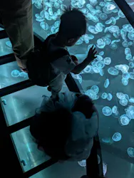 すみだ水族館に投稿された画像（2026/5/13）