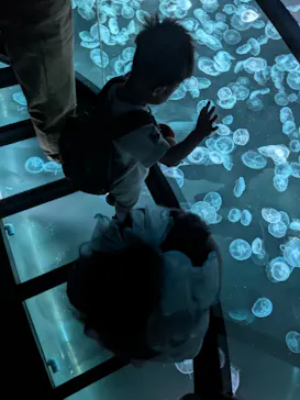 すみだ水族館に投稿された画像（2026/5/13）
