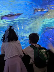 すみだ水族館に投稿された画像（2026/5/13）