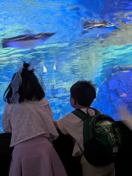 すみだ水族館に投稿された画像（2026/5/13）
