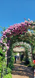 横浜イングリッシュガーデンに投稿された画像（2026/5/13）