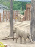 多摩動物公園に投稿された画像（2026/5/13）