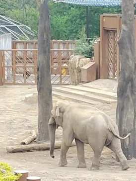 多摩動物公園に投稿された画像（2026/5/13）