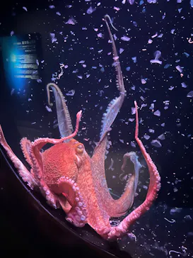環境水族館アクアマリンふくしまに投稿された画像（2026/5/13）