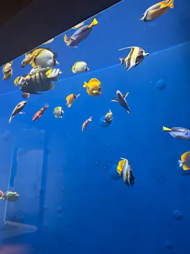 環境水族館アクアマリンふくしまに投稿された画像（2026/5/13）