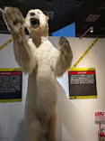 特別展「超危険生物展　科学で挑む生き物の本気」に投稿された画像（2026/5/13）