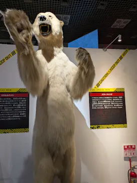 特別展「超危険生物展　科学で挑む生き物の本気」に投稿された画像（2026/5/13）