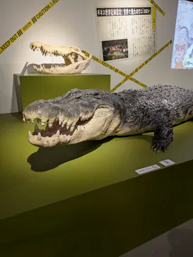 特別展「超危険生物展　科学で挑む生き物の本気」に投稿された画像（2026/5/13）