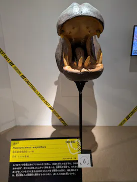 特別展「超危険生物展　科学で挑む生き物の本気」に投稿された画像（2026/5/13）