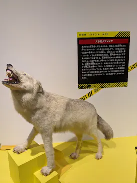 特別展「超危険生物展　科学で挑む生き物の本気」に投稿された画像（2026/5/13）
