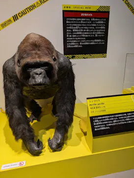 特別展「超危険生物展　科学で挑む生き物の本気」に投稿された画像（2026/5/13）