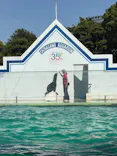 しながわ水族館に投稿された画像（2026/5/13）