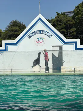しながわ水族館に投稿された画像（2026/5/13）