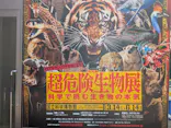 特別展「超危険生物展　科学で挑む生き物の本気」に投稿された画像（2026/5/13）